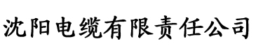 佳人如玉陈浩苏晴电缆厂logo